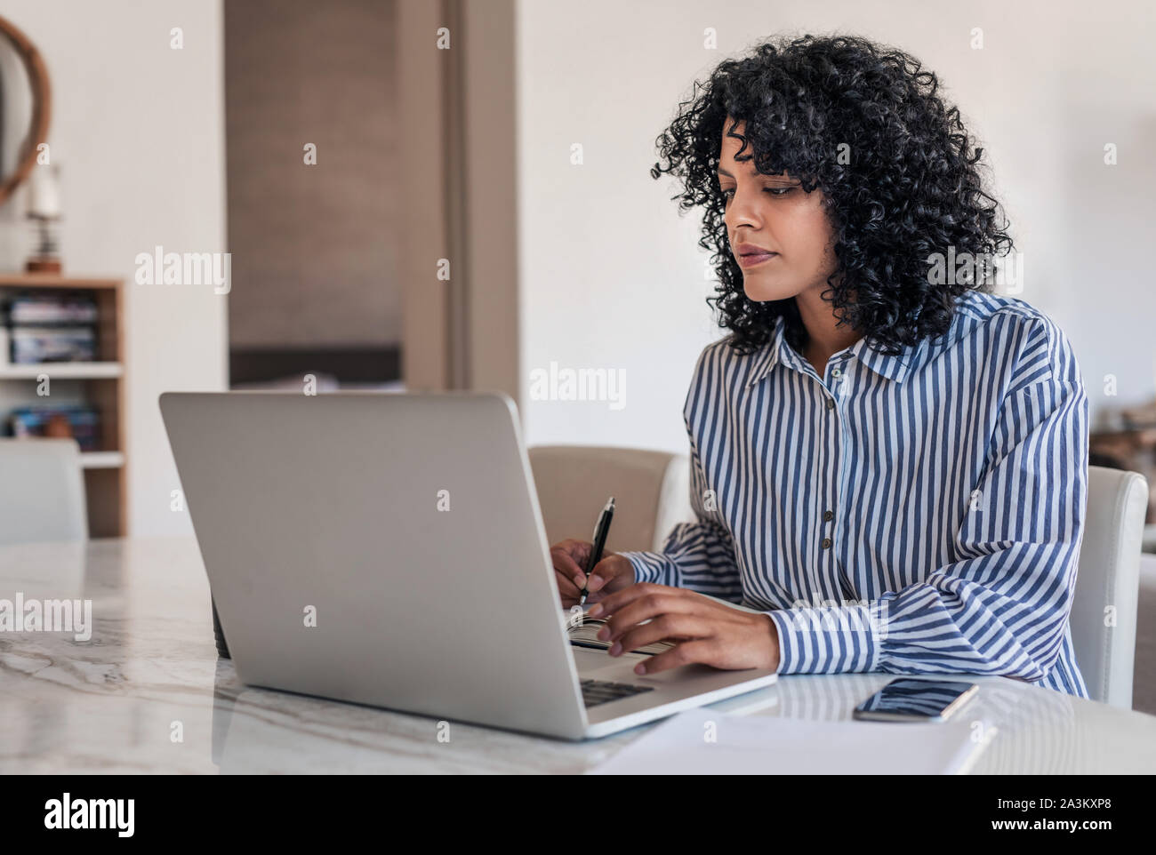 Junge weibliche Unternehmer arbeiten zu Hause auf Ihrem Laptop Stockfoto