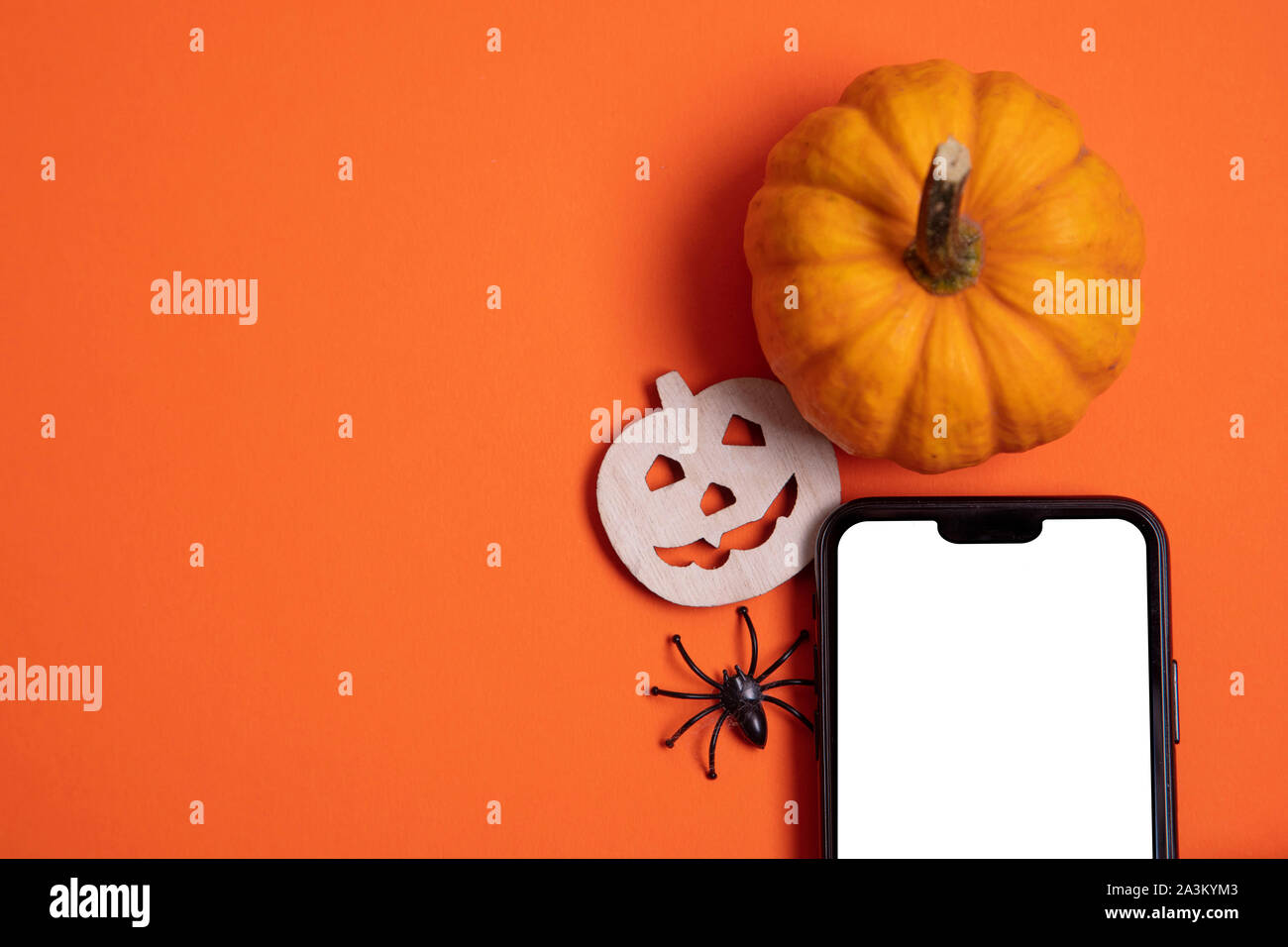Leerer weißer Bildschirm des Smartphones mit Kürbissen und Spinnen Stockfoto