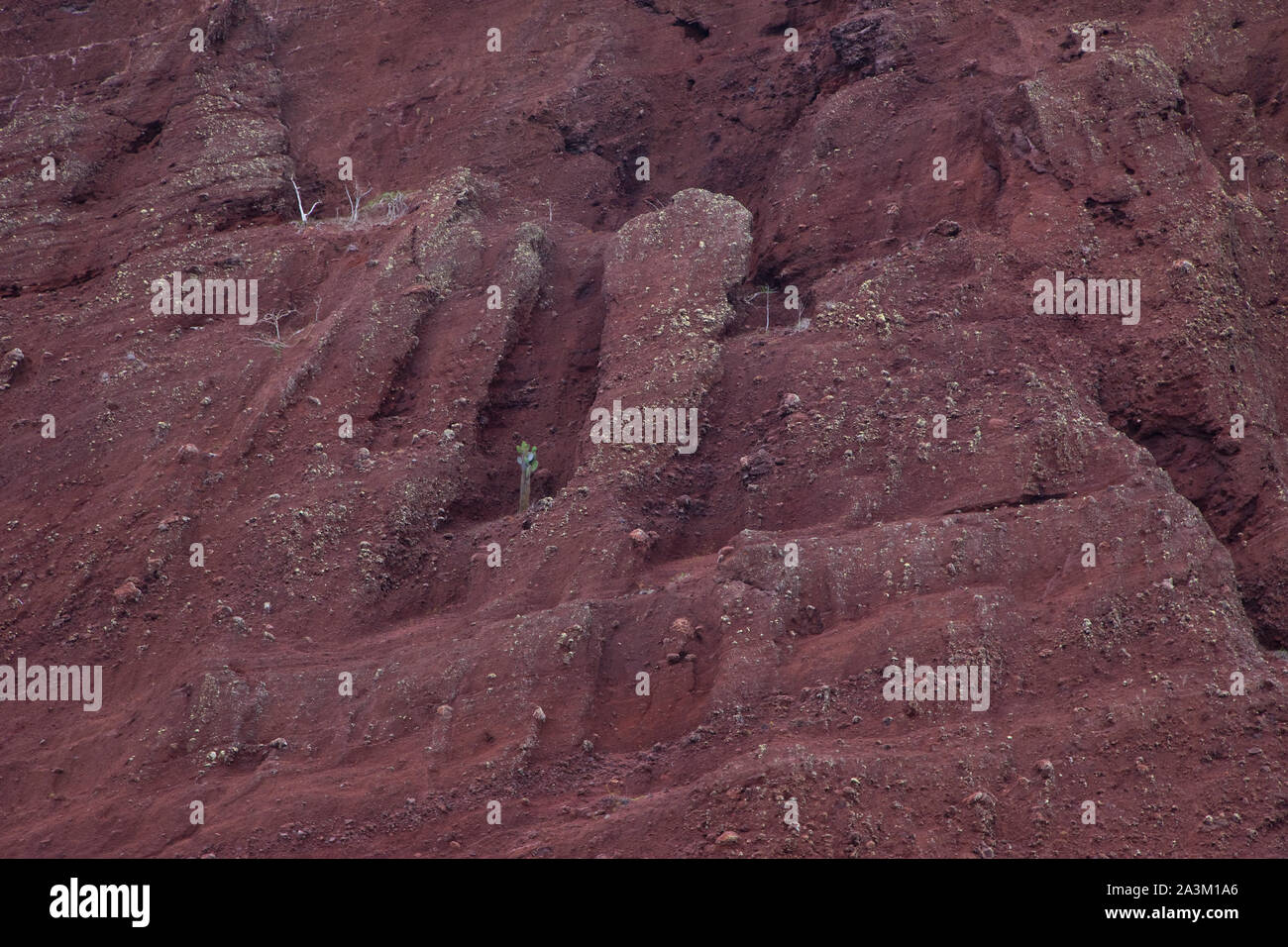 Paisaje erosionado en la Costa de la Isla Rábida, Islas Galapagos, Ecuador, Südamerika Stockfoto