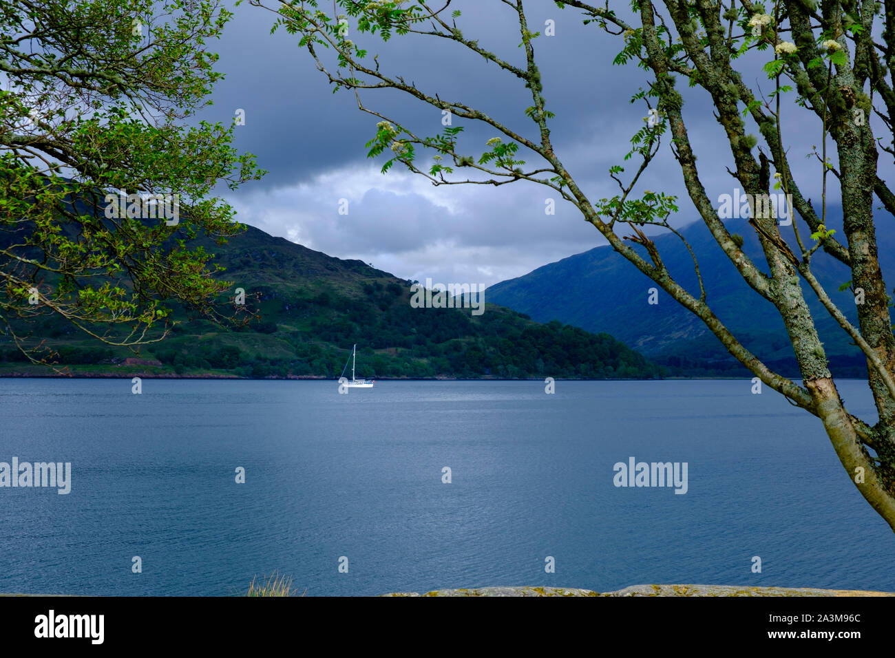 Loch Linnhe Lochaber Inverness-shire Highlands Schottland Stockfoto