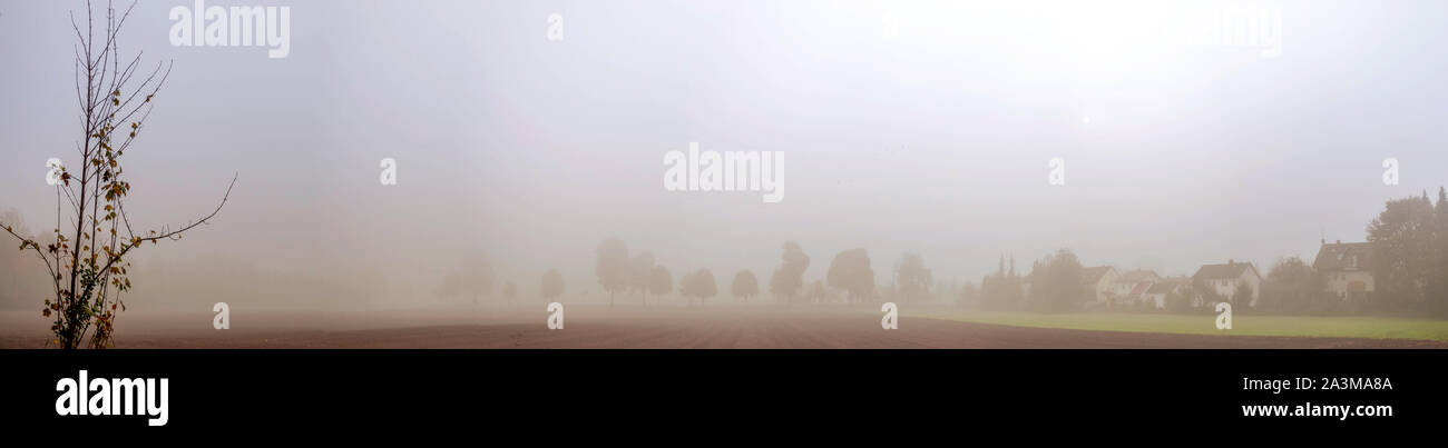 Panorama einer nebligen Feld am Morgen. Ländliche Landschaft mit Baum und Häuser Silhouetten. Stockfoto