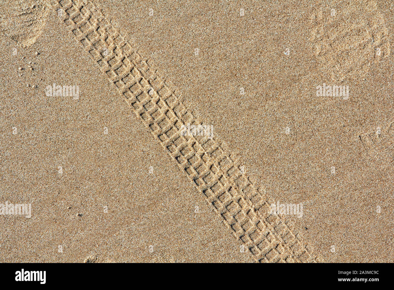 Radwege auf einer Sand im Sommer, abstrakten Hintergrund Stockfoto