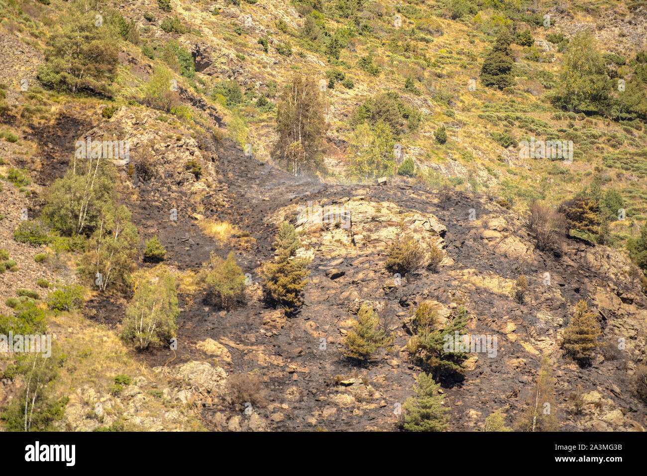 Bereich, in dem es ein Feuer auf der La Costa Berg in Canillo, Andorra. Stockfoto