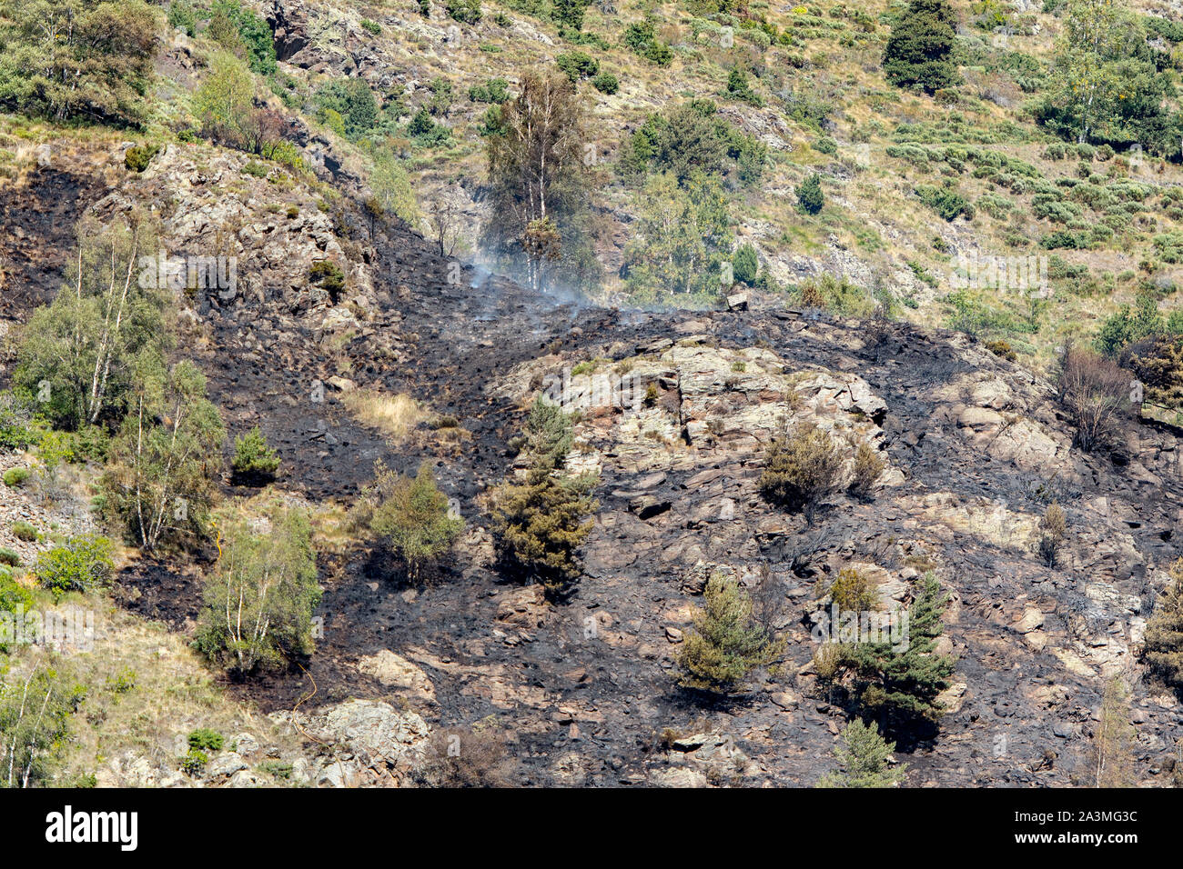 Bereich, in dem es ein Feuer auf der La Costa Berg in Canillo, Andorra. Stockfoto