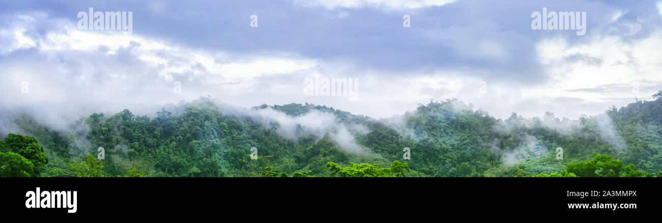 Panorama Landschaft blick auf den hohen Berg sehen viele Bäume und weißen Nebel über das Land in Khao Lak Thailand. Stockfoto
