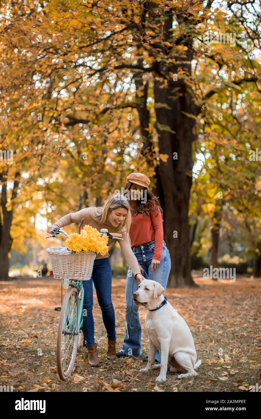 Zwei junge weibliche Freunde zu Fuß in den gelben Herbst park mit Hund und Fahrrad Stockfoto