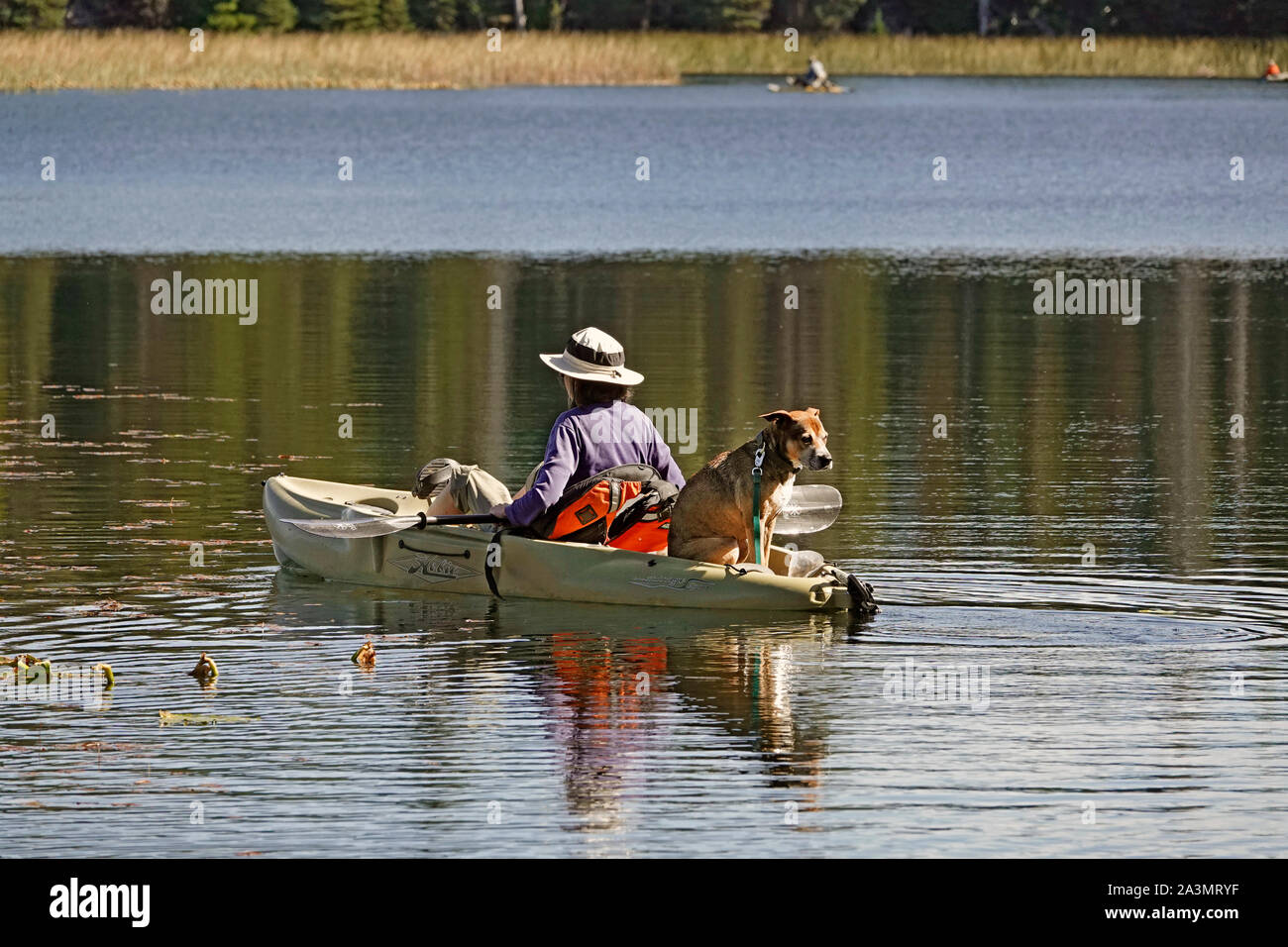 Kajakfahrer, Besucher und Fischer bei der hosmer See, ein kleiner Bergsee entlang der Cascade Lakes Highway in der Cascade Mountains der zentralen Oregon. Stockfoto