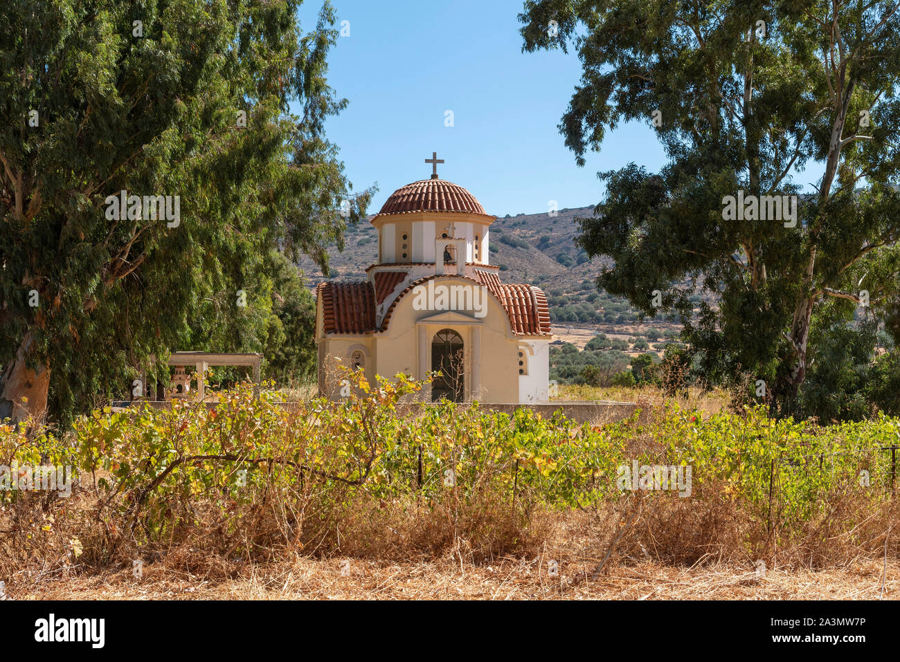 Kastelli, Kreta, Griechenland. Oktober 2019. Die Kirche von Agios Nektarios umgeben von Reben in Kastelli, Ost Kreta Stockfoto