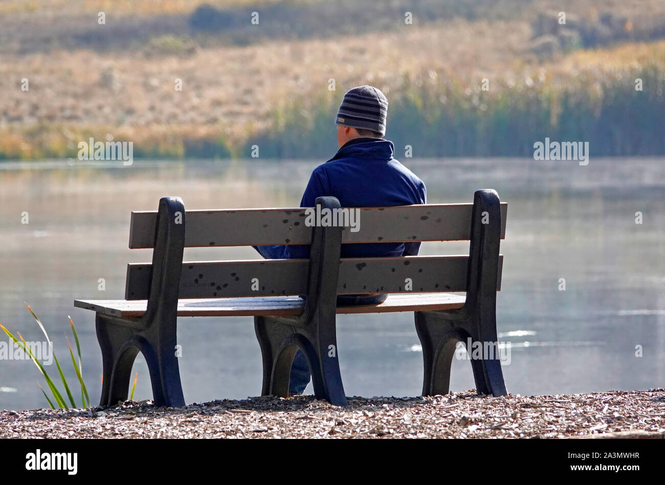 Ein Mann sitzt auf einer ruhigen Bank entlang einer Misty River am frühen Morgen, das Lesen einer Zeitschrift, in der zentralen Oregon. Stockfoto