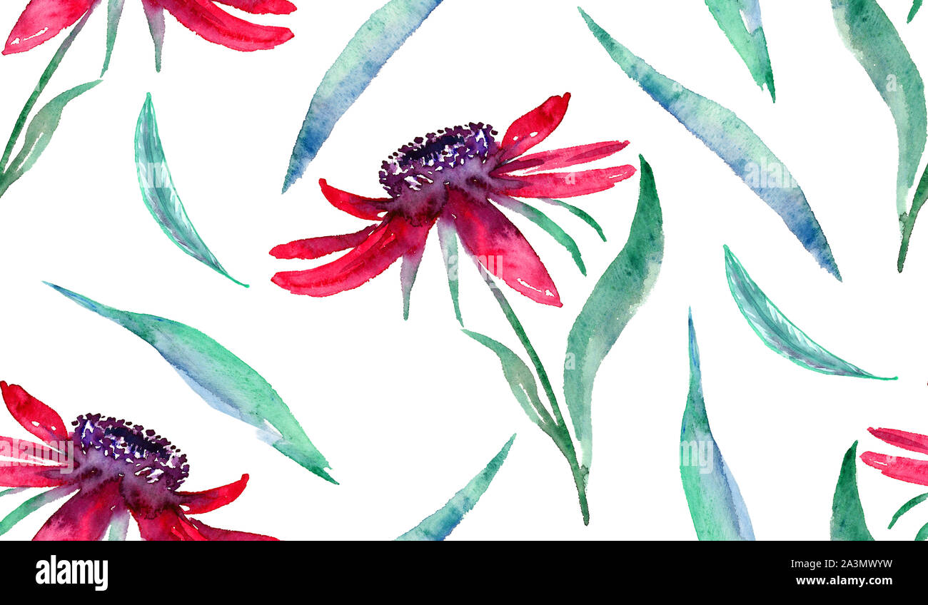 Echinacea rosa Blüten und Blätter, Handgemalten Aquarell Illustration, nahtlose Muster auf weißem Hintergrund Stockfoto