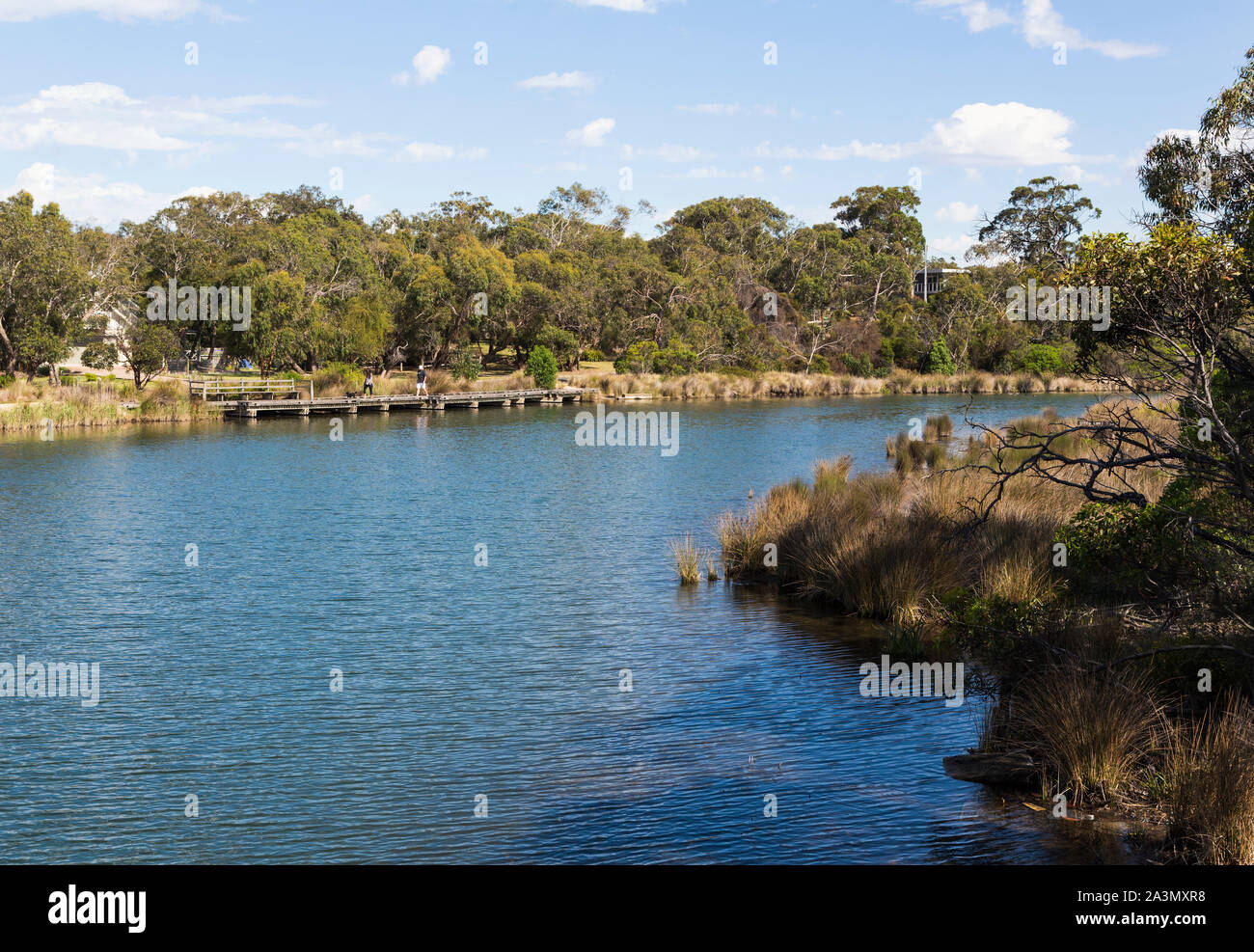 Anglesea Fluss, Anglesea, Great Ocean Road, Victoria, Australien. Stockfoto