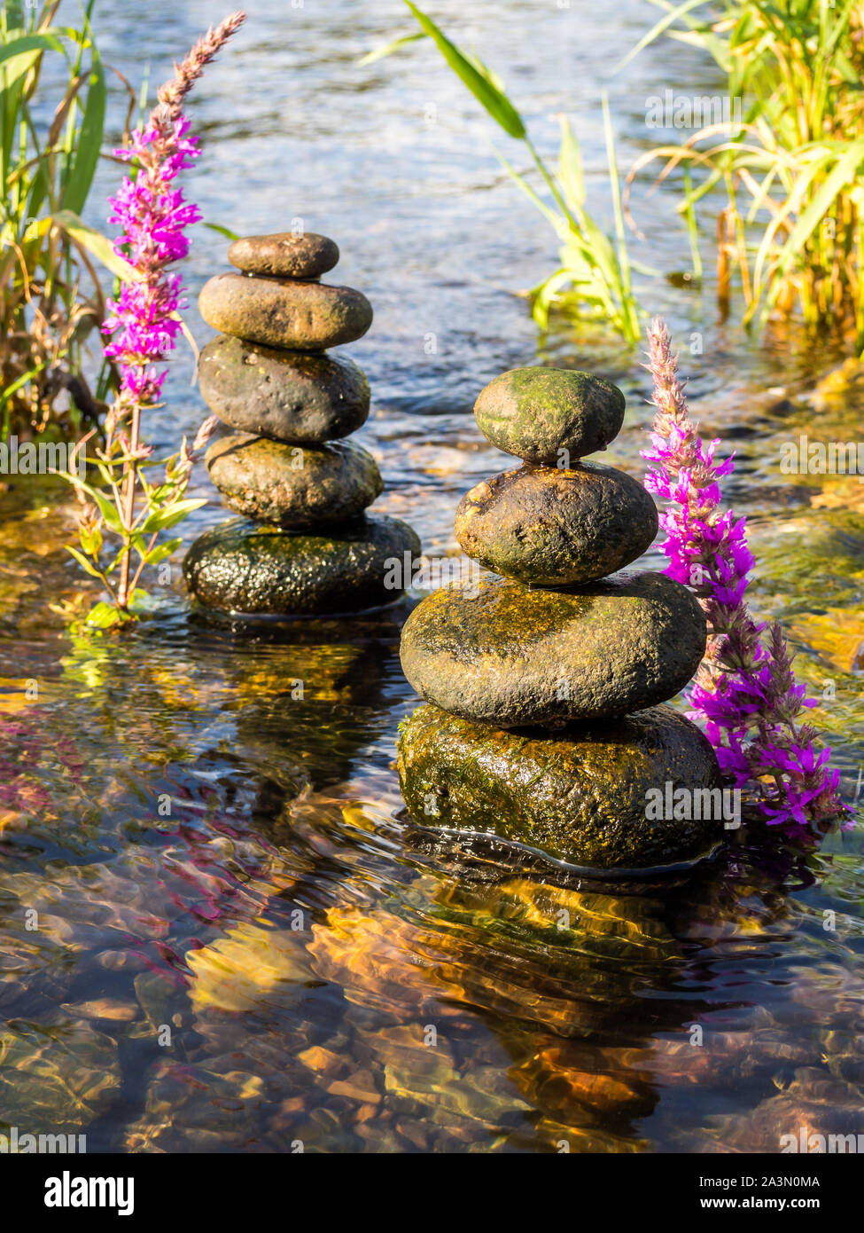 Steinen im Wasser Stockfoto