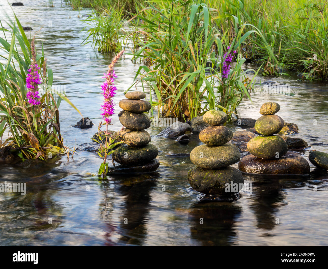 Steine im Wasser Wellness Stockfoto