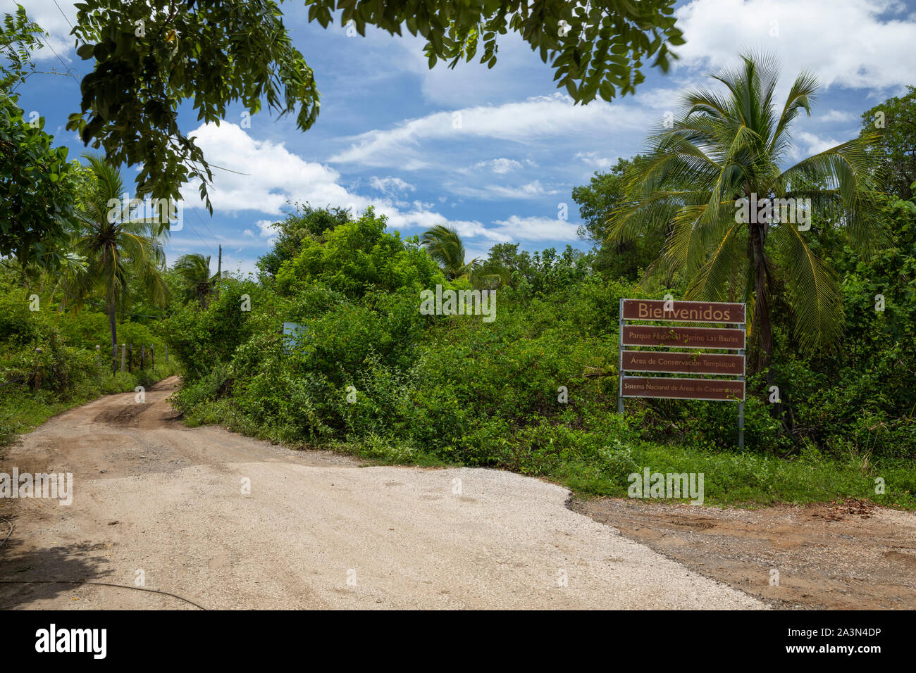 Unbefestigte Straße durch Las Baulas Marine National Park, Costa Rica Stockfoto