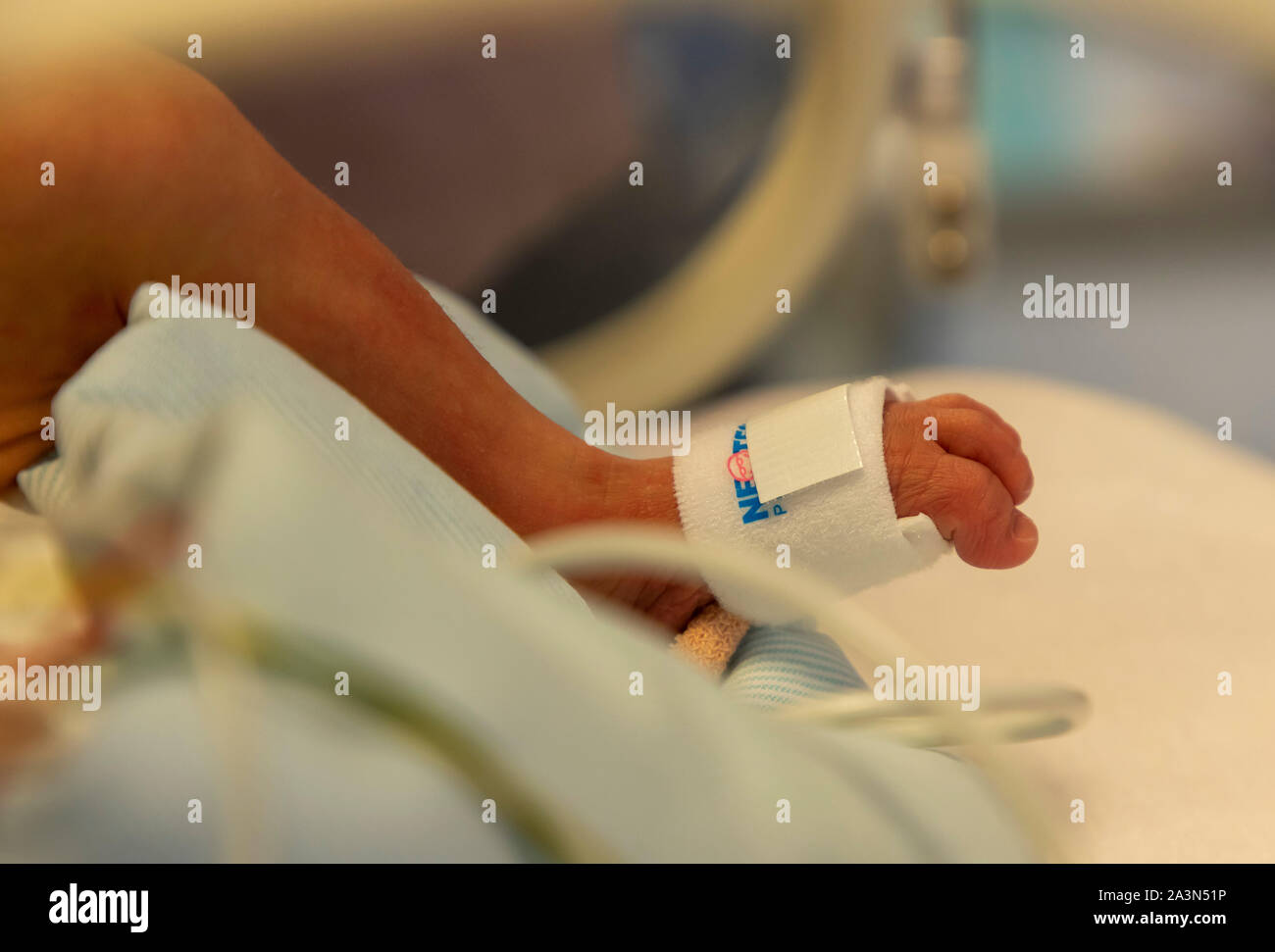 Frühgeburt Station in einem Krankenhaus, Abteilung für Neonatologie Frühgeborene in einem Inkubator, Stockfoto