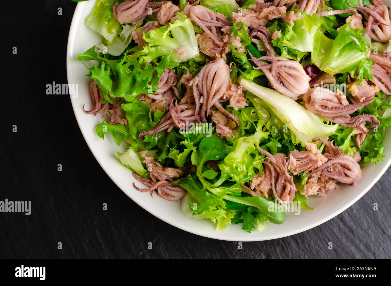 Meeresfrüchte Vorspeise, Salat mit Baby Tintenfisch und Thunfisch. Italienische Küche. Nahaufnahme Stockfoto
