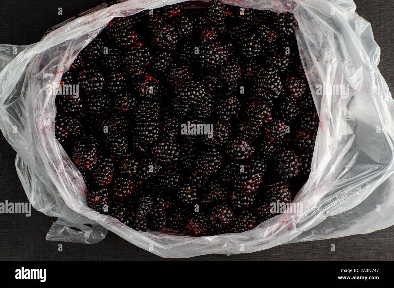 Brombeeren in geöffneten Beutel auf schwarzem Hintergrund. Stockfoto