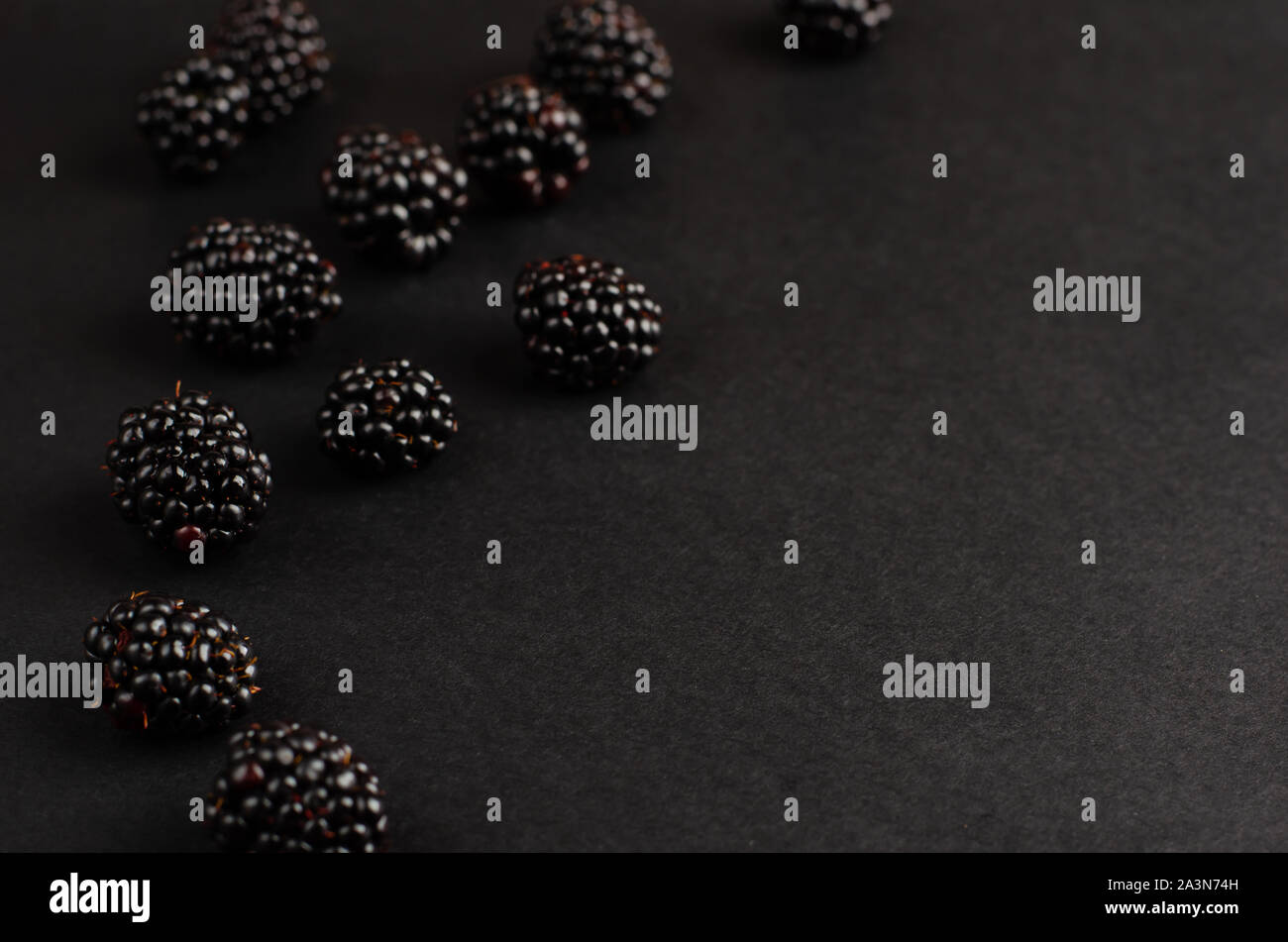 Brombeeren auf schwarzem Hintergrund. Kopieren Sie Platz. Stockfoto