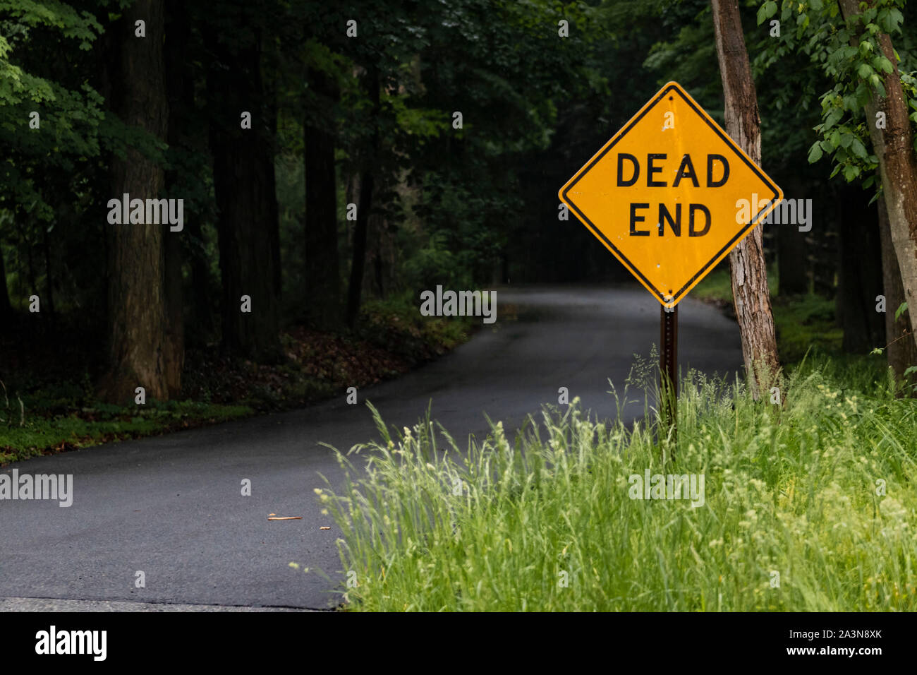 Gelbes Schild „DEAD END“ neben einer dunklen, kurvenreichen Straße Mitten im Nirgendwo Stockfoto