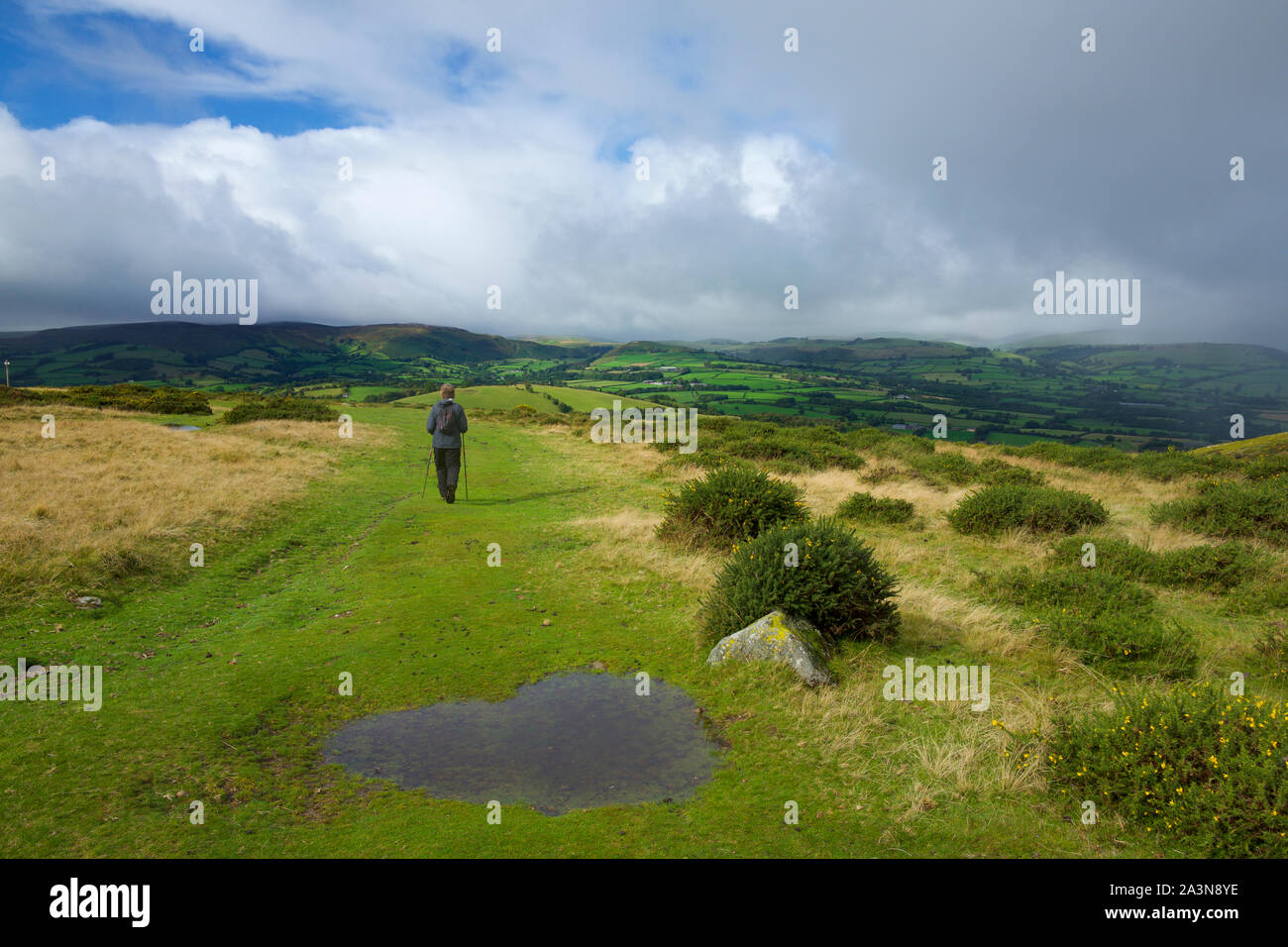 Offas Dyke langen Fußweg auf Hergest Ridge, Herefordshire/Powys, Großbritannien Stockfoto