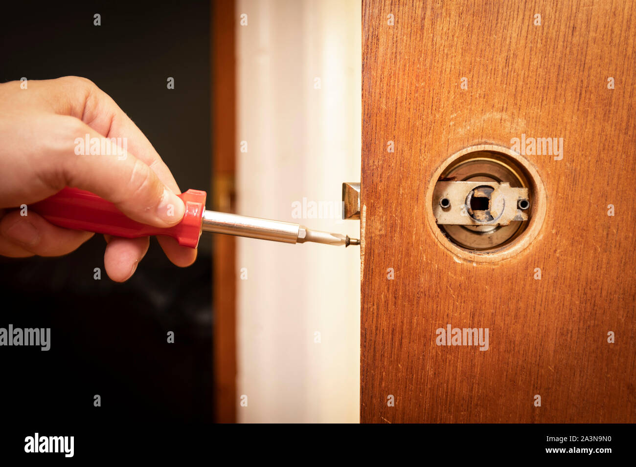 Befestigen oder Austauschen eines Türknopfs mit einem Schraubendreher Stockfoto