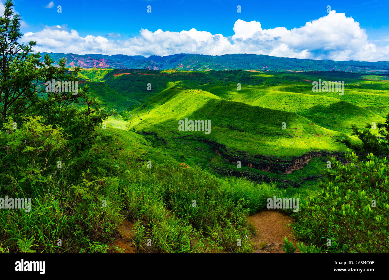 Waimea Canyon, Kauai, Hawaii Stockfoto