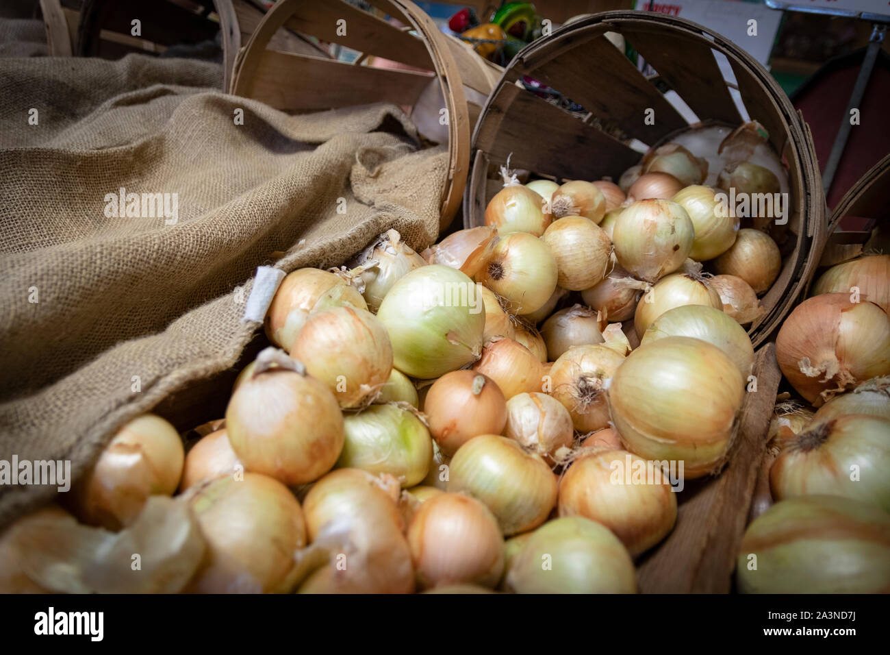 Fass frisch geernteter Bio-Zwiebeln zum Verkauf Auf dem Bauernmarkt Stockfoto