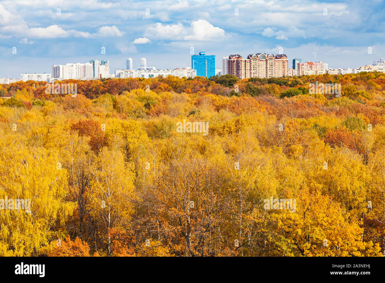 Oben Blick auf gelb City Park an sonnigen Herbsttag Stockfoto