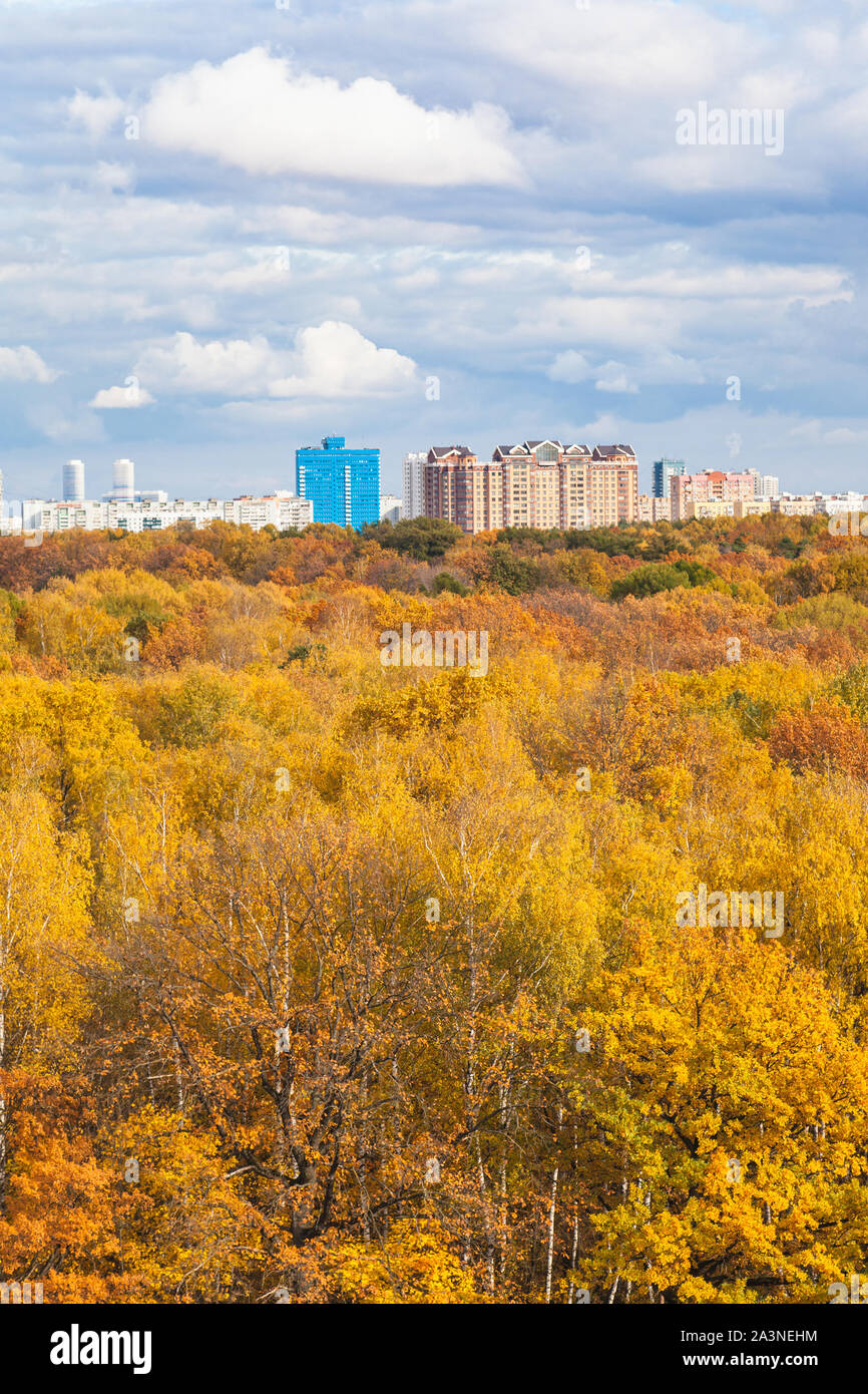 Vertikale Ansicht von gelben City Park an sonnigen Herbsttag Stockfoto