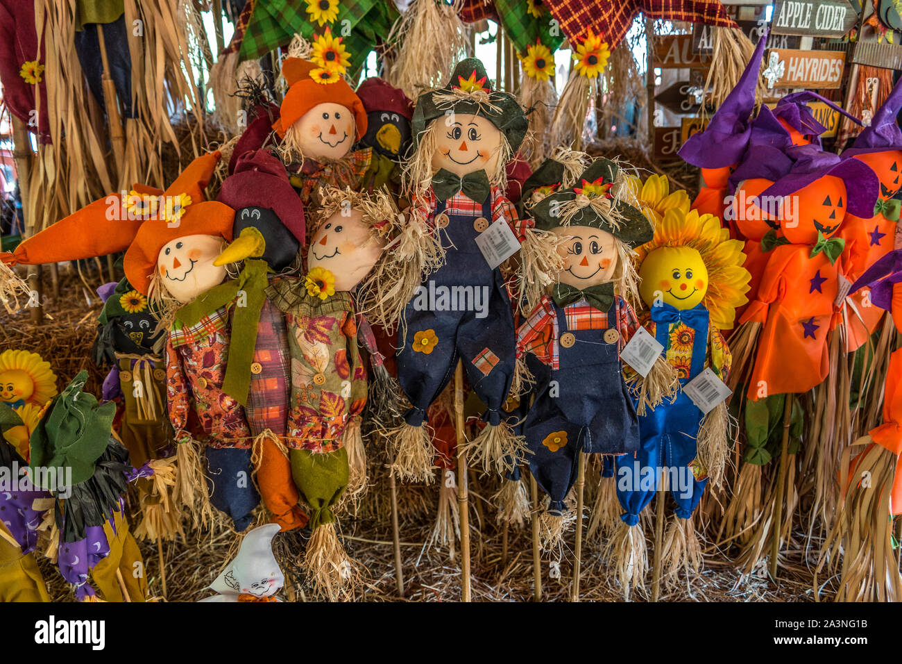 Eine Gruppierung von Vogelscheuchen und andere Halloween outdoor Dekor für Verkauf Stockfoto