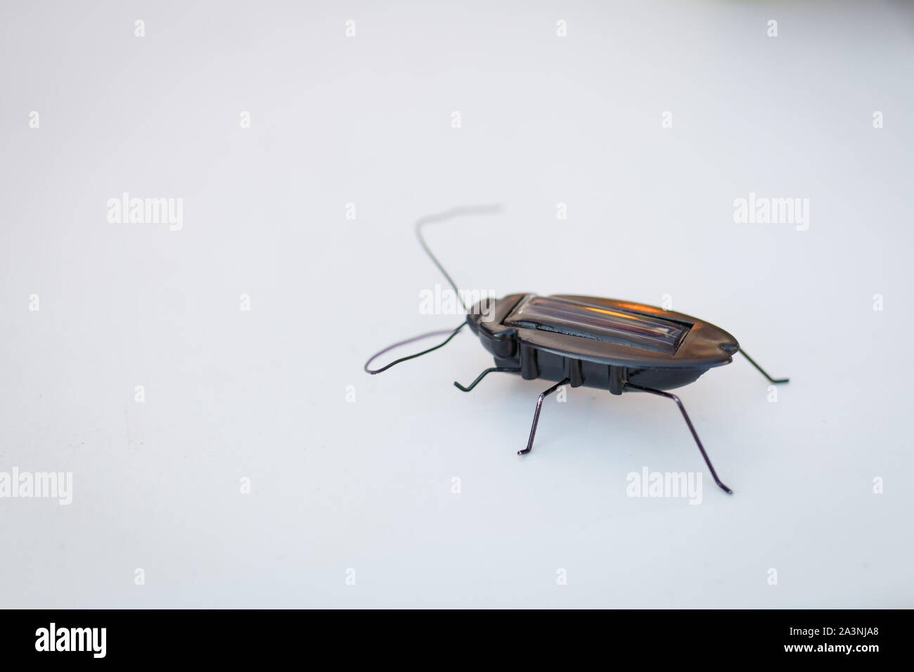 Elektronisches Bug-Spielzeug stilisiert als Computer-Bug-Konzept auf weiß Hintergrund Stockfoto