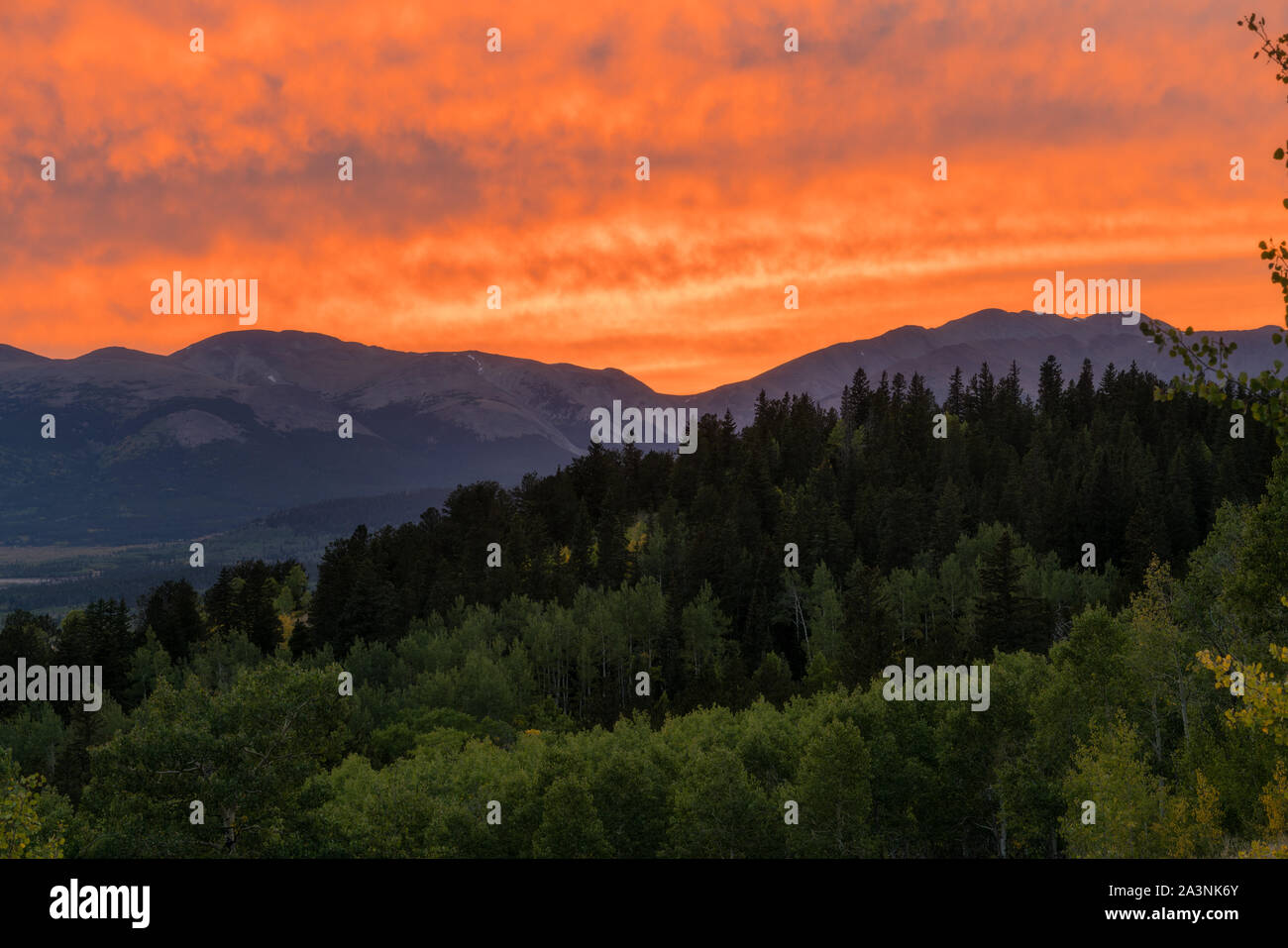 Aus entlang des Colorado Trail, westlich von Kenosha Pass. Stockfoto