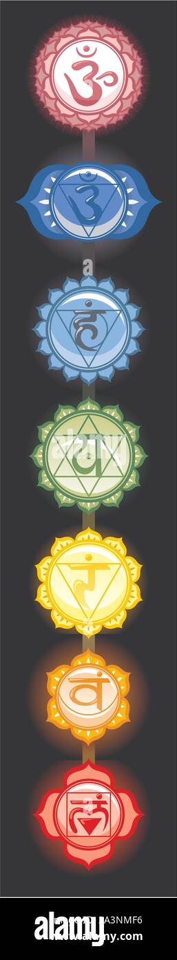 Sieben Chakras Muladhara Svadisthana Manipura Anahata Visuddha Anja Sahasrara Banner. Mit den sieben Chakren mit den Mandalas und Farben Vektor illu Stock Vektor