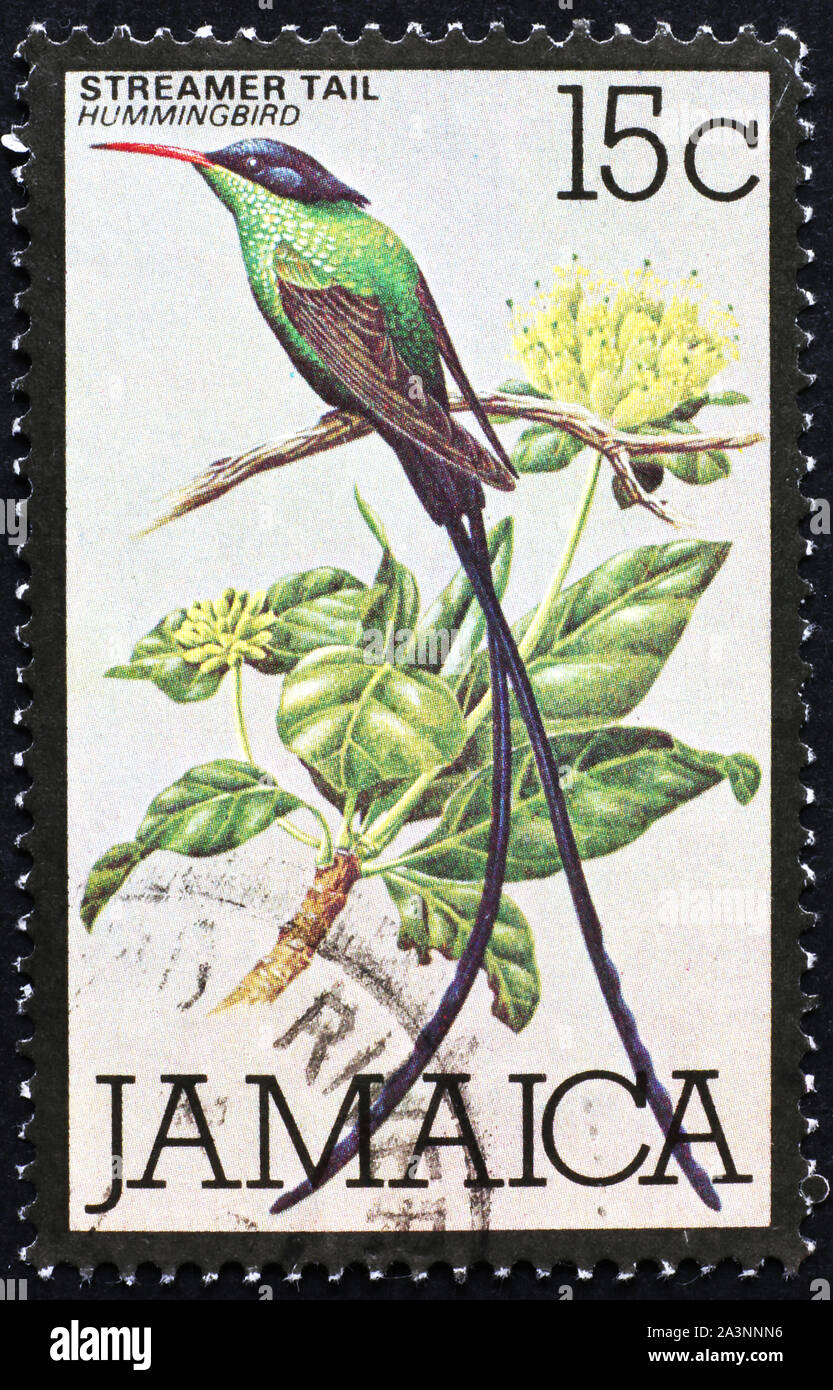 Endemische hummingbird von Jamaika, Streamer Schwanz, auf Briefmarke Stockfoto