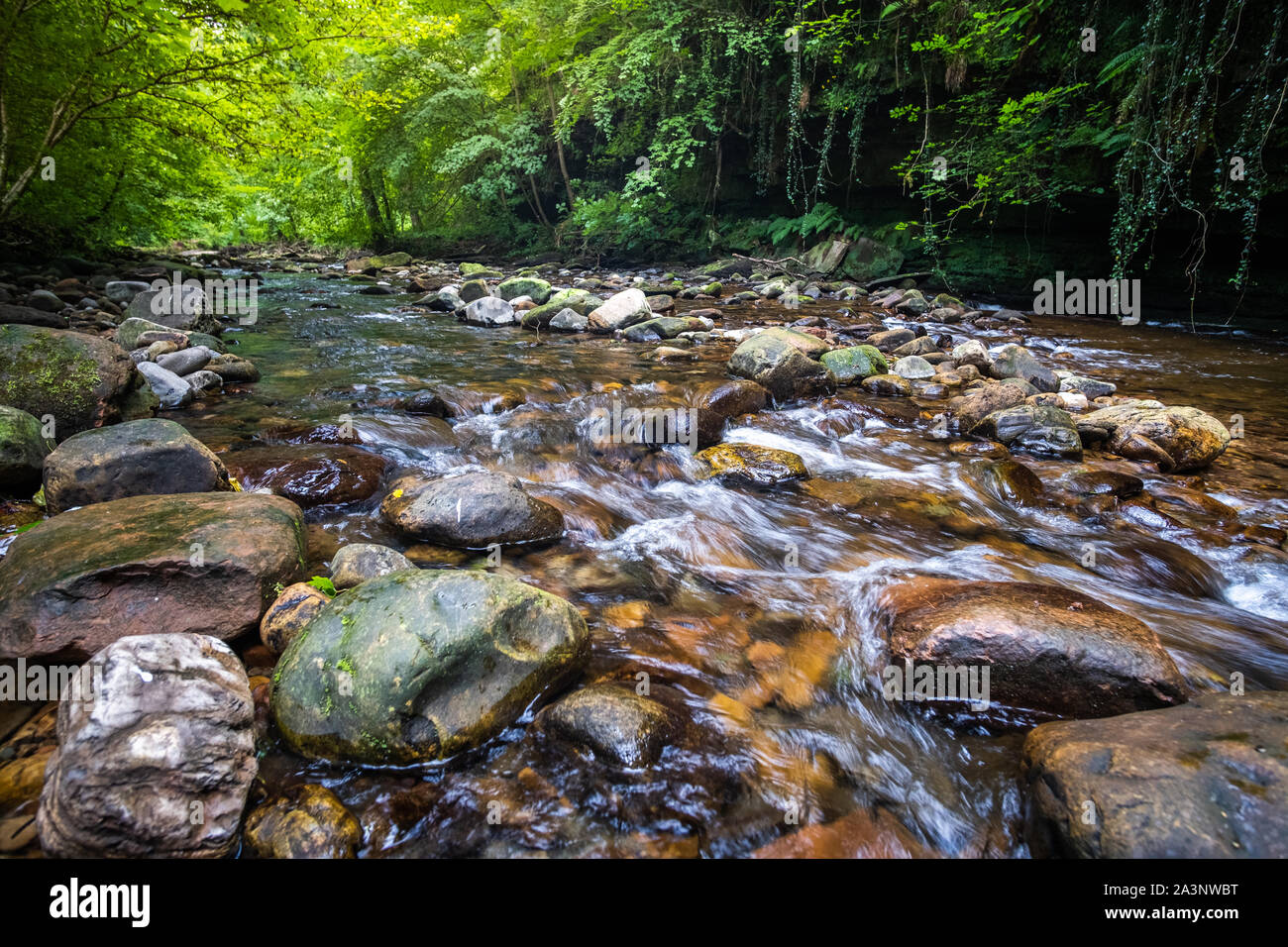 Wildlife und Szenen im Lake District Stockfoto