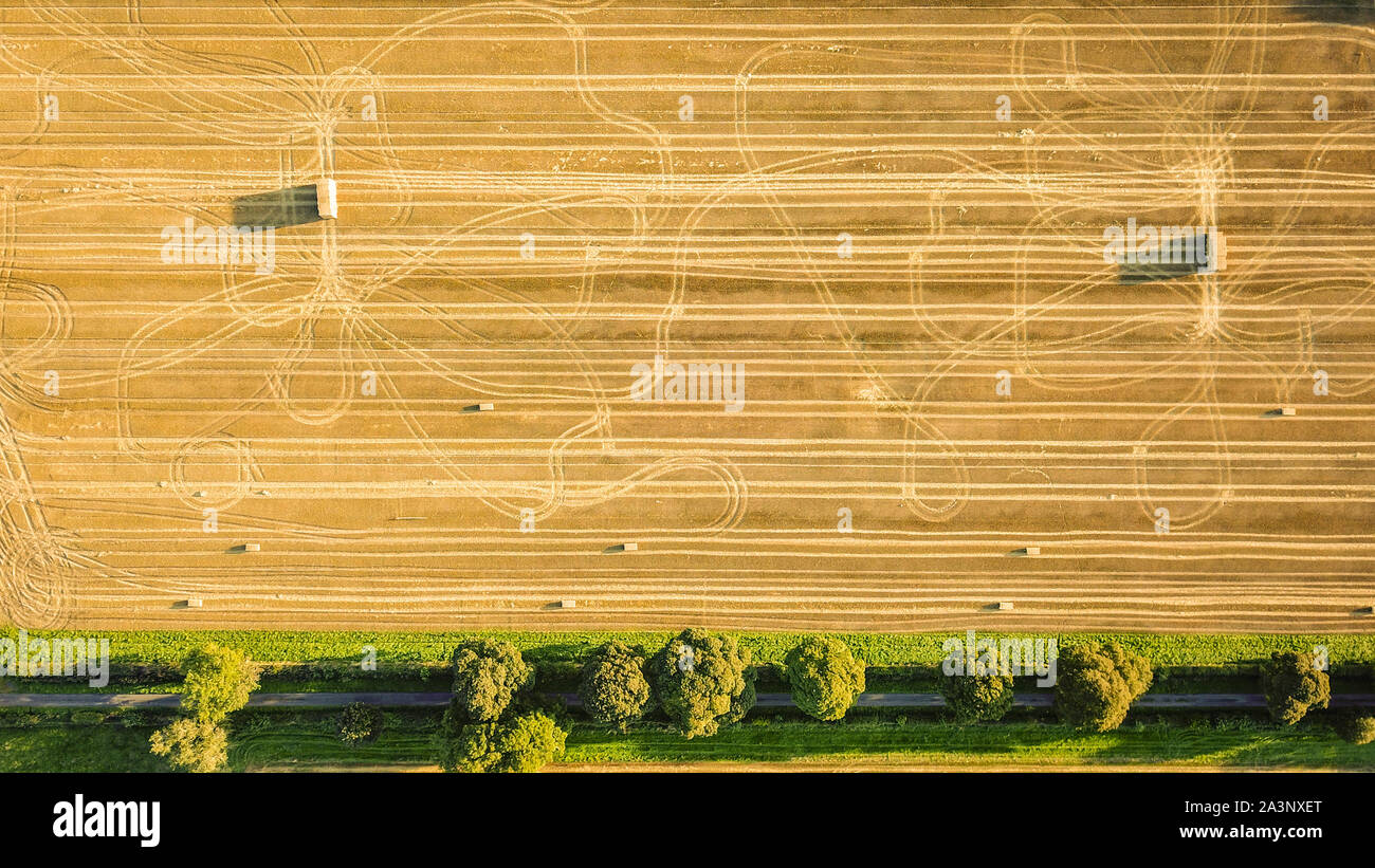 Antenne drone Ansicht der Ernte in Northumberland Weizenfelder Stockfoto