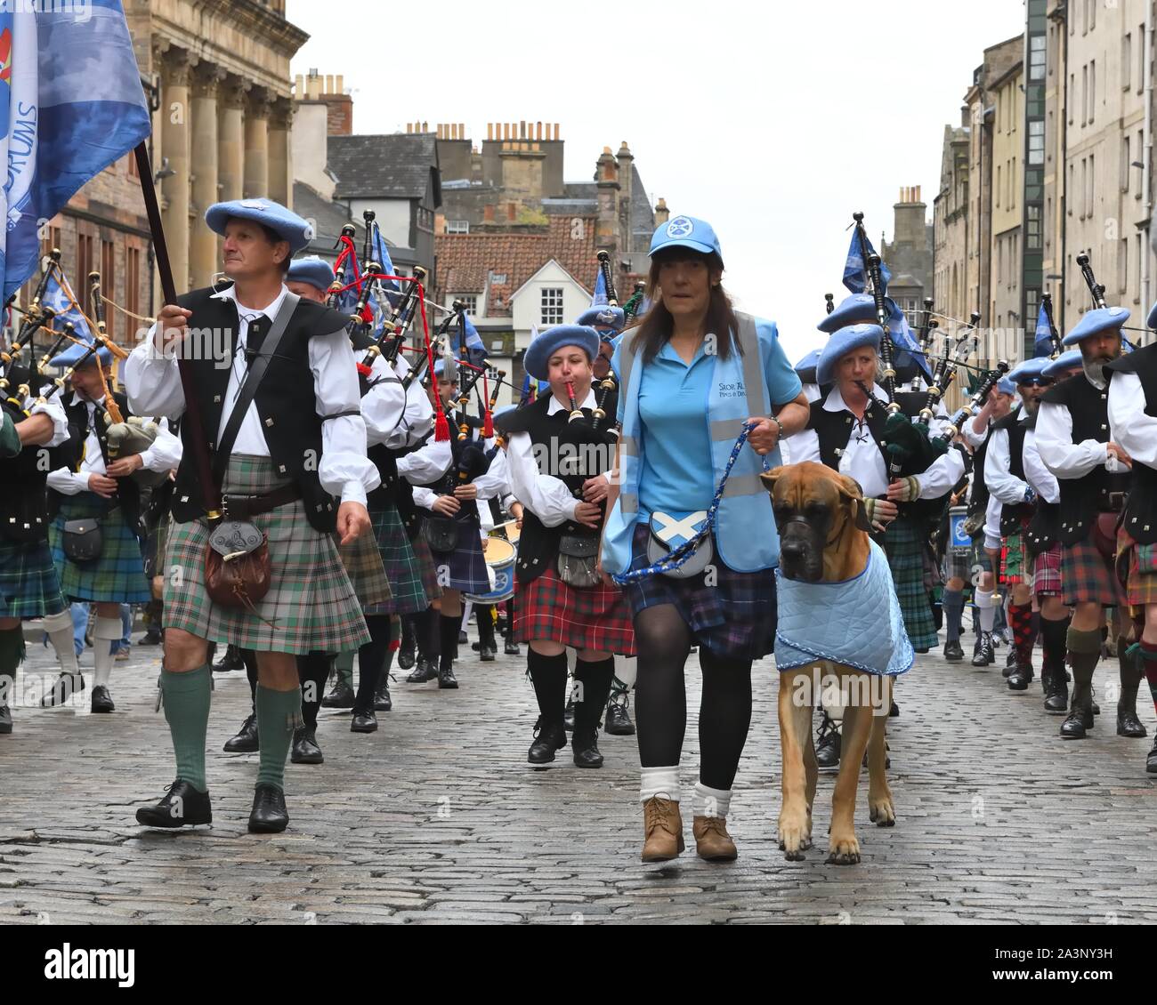 Sheldon das Indy Hund führenden die Pipe Band, die Royal Mile auf der Alle unter einem Banner März für die schottische Unabhängigkeit 2019, Edinburgh, Schottland, Großbritannien Stockfoto