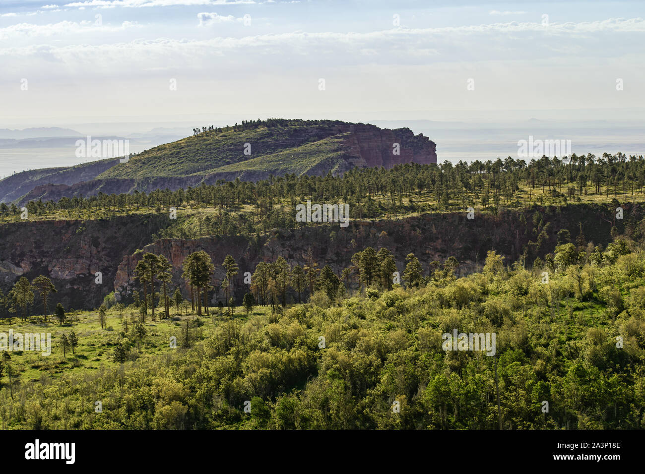 Blick von oben auf die Saddle Mountain Wilderness zu Kaibab National Forest in der Nähe von Marble Canyon und Grand Canyon North Rim, Arizona. Stockfoto