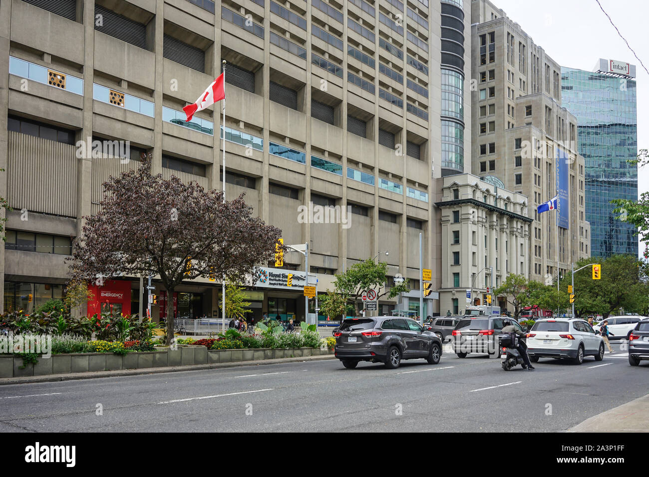 Krankenhaus Reihe auf der University Avenue in Toronto City, Downtown in Ontario, Kanada, Nordamerika Stockfoto