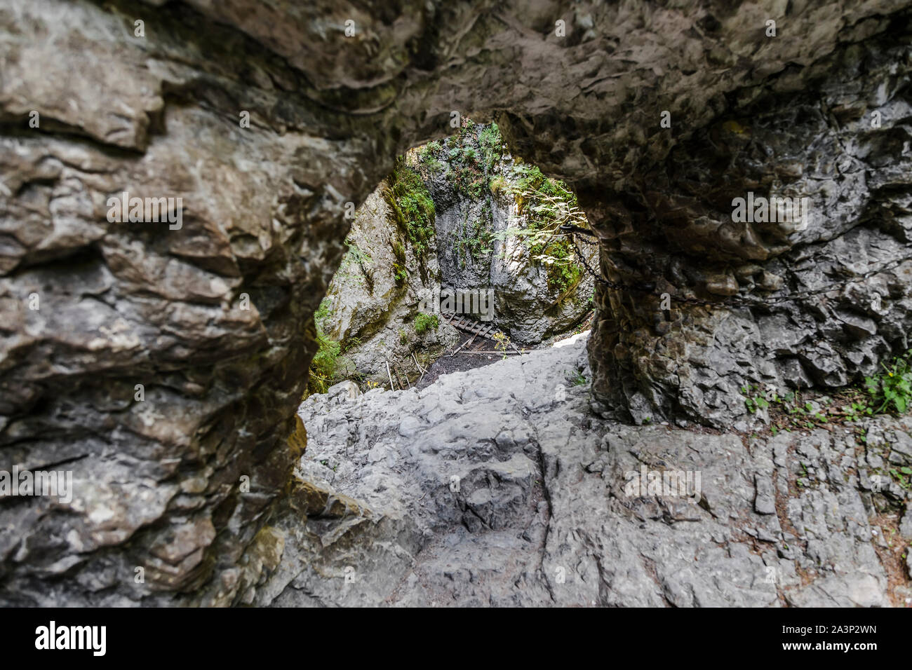 Blick auf ucha Bela des ausgetrockneten Flussbett" im Slowenischen Paradies durch das große Loch im Fels mit Wasser abgewaschen. Slowakei Stockfoto
