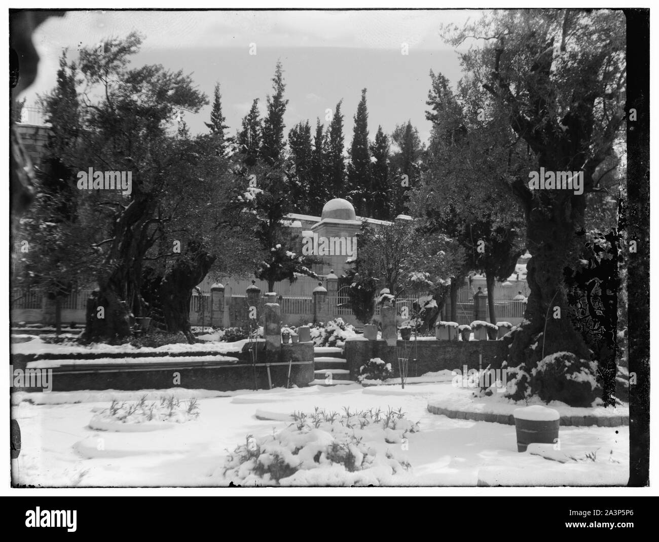 Schnee in Jerusalem, 1921. Bäumen und Garten Stockfoto