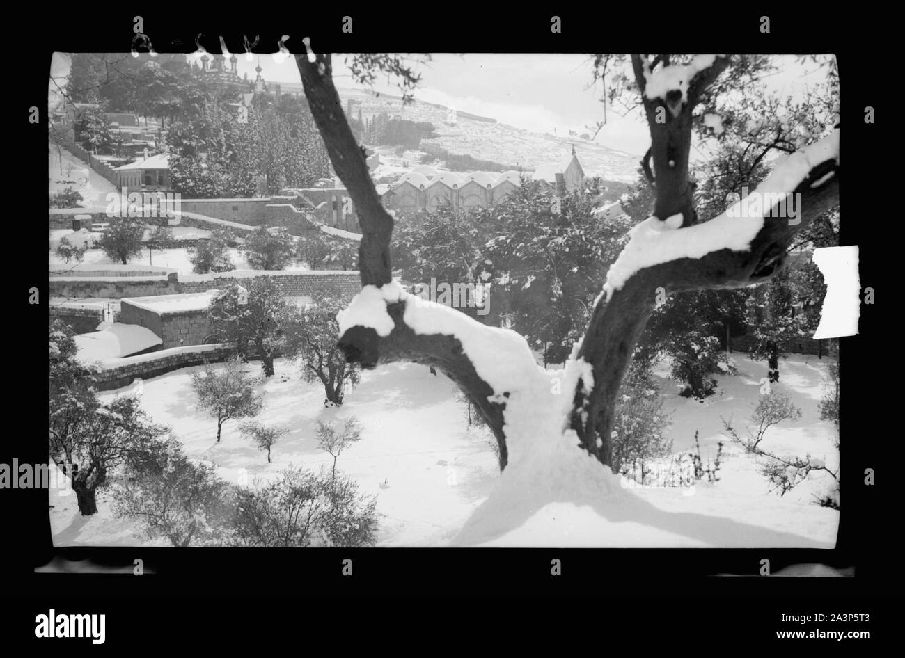 Schnee Szenen. Garten Gethsemane zeigt die Basilika Stockfoto