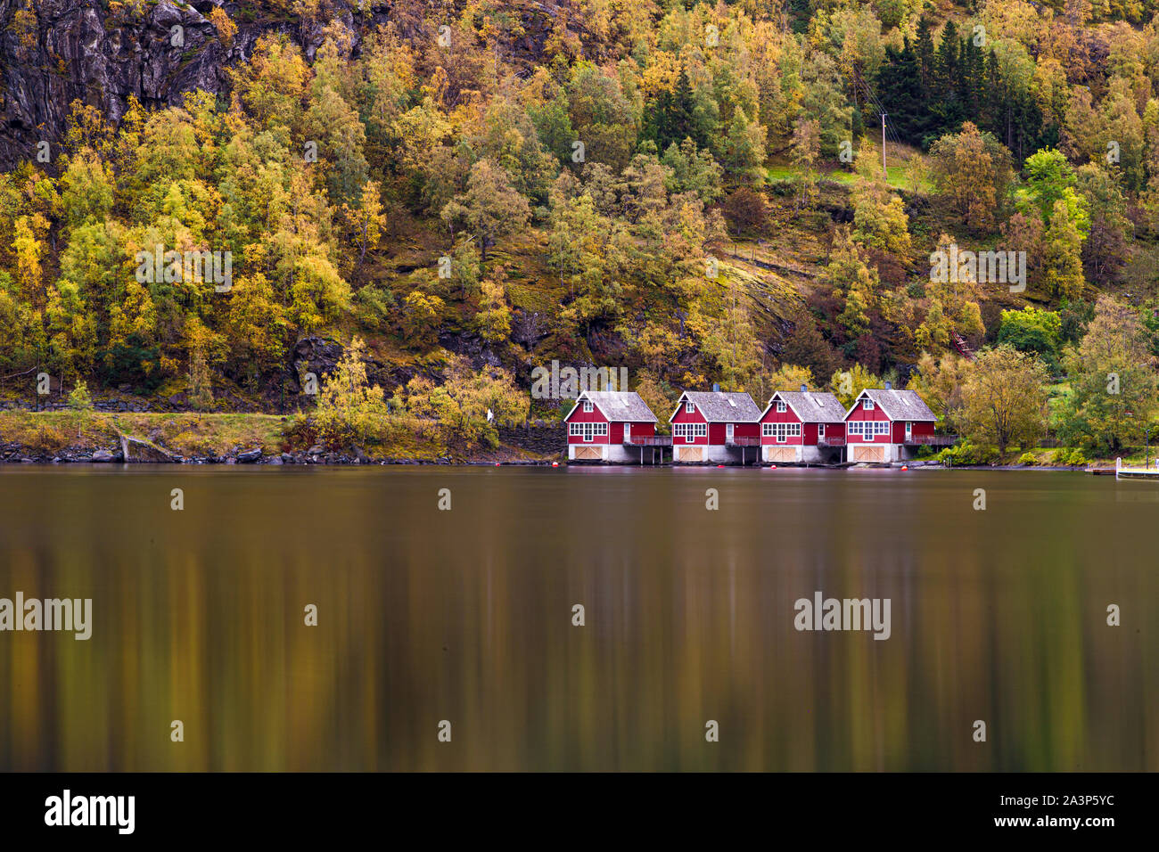 Bootshäuser in Flam, Norwegen mit Bäume gelb und orange im Herbst Stockfoto Bootshäuser in Flam, Norwegen mit Bäume gelb und orange im Herbst Stockfoto