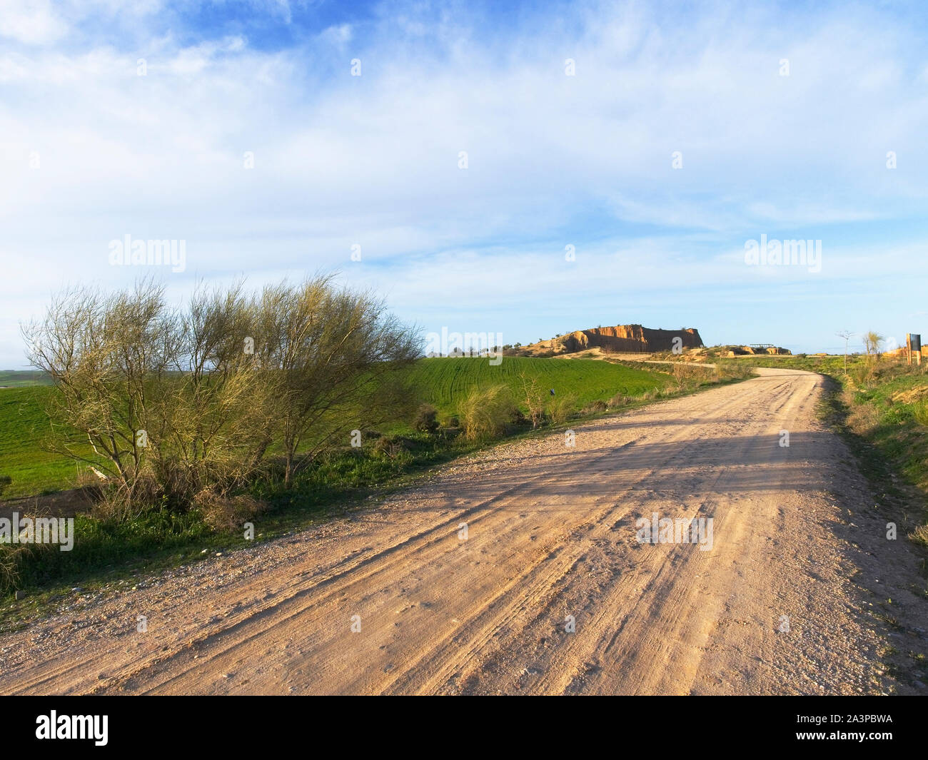 Barrancas de Calaña Castrejón und sedimentären Bildung der Fluss Tejo, zwischen den Gemeinden von Burujón, Albarreal de Tajo und La Pue Stockfoto