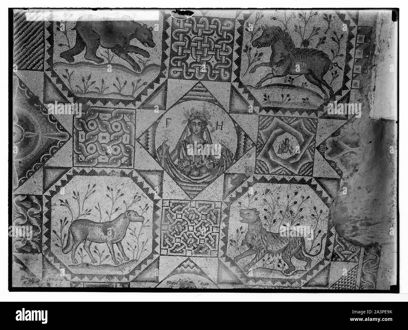 Südlichen Palästina. Mosaik von Maiden mit Obst [im Beit Jibrin]. Stockfoto