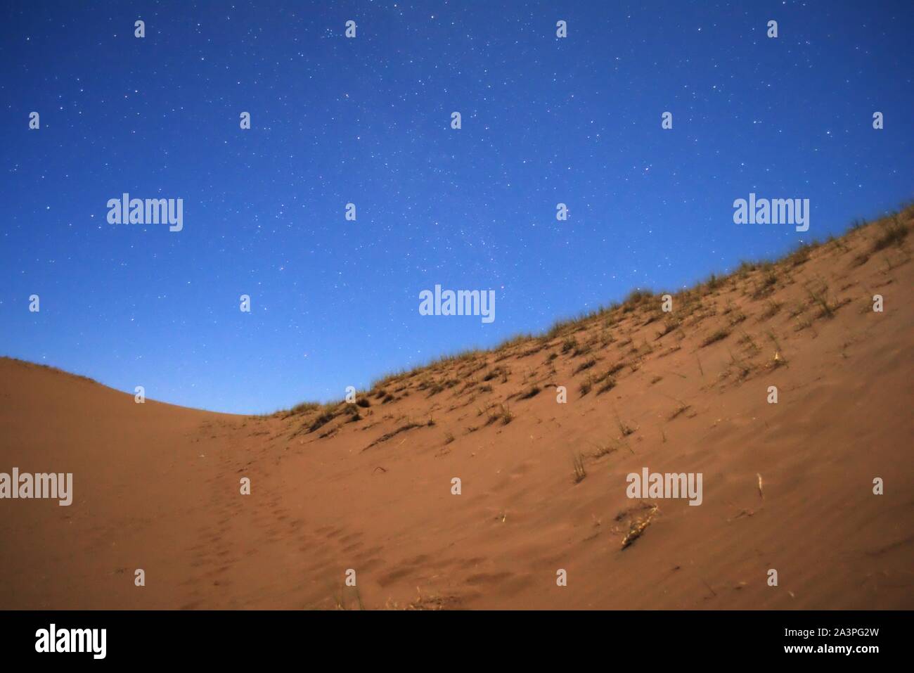 Sonnenuntergang auf der Wüste. Die ersten Sterne können in den tiefen blauen Himmel gesehen werden. Stockfoto