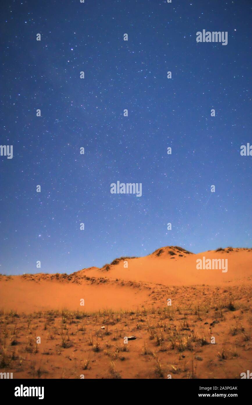 Nacht fällt auf die orangefarbene Dünen der Wüste im Mondschein und eine tiefe, blau, Sternenhimmel. Stockfoto