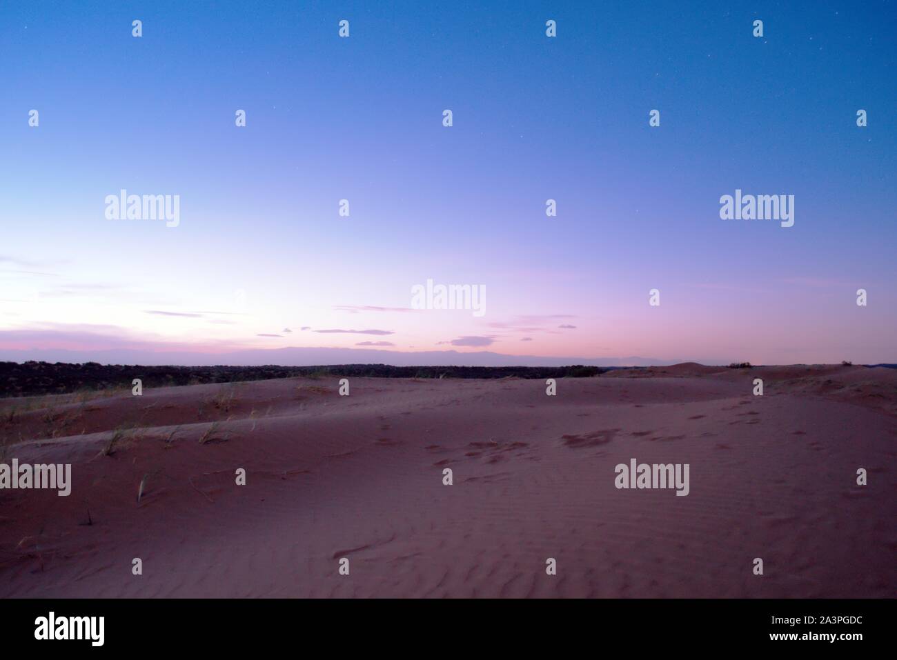Lila Sanddünen in der Wüste bei Einbruch der Dunkelheit. Stockfoto