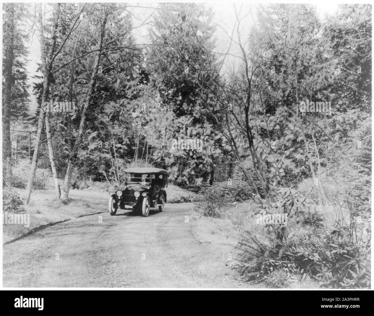 Feder Autofahren in einem Packard Stockfoto