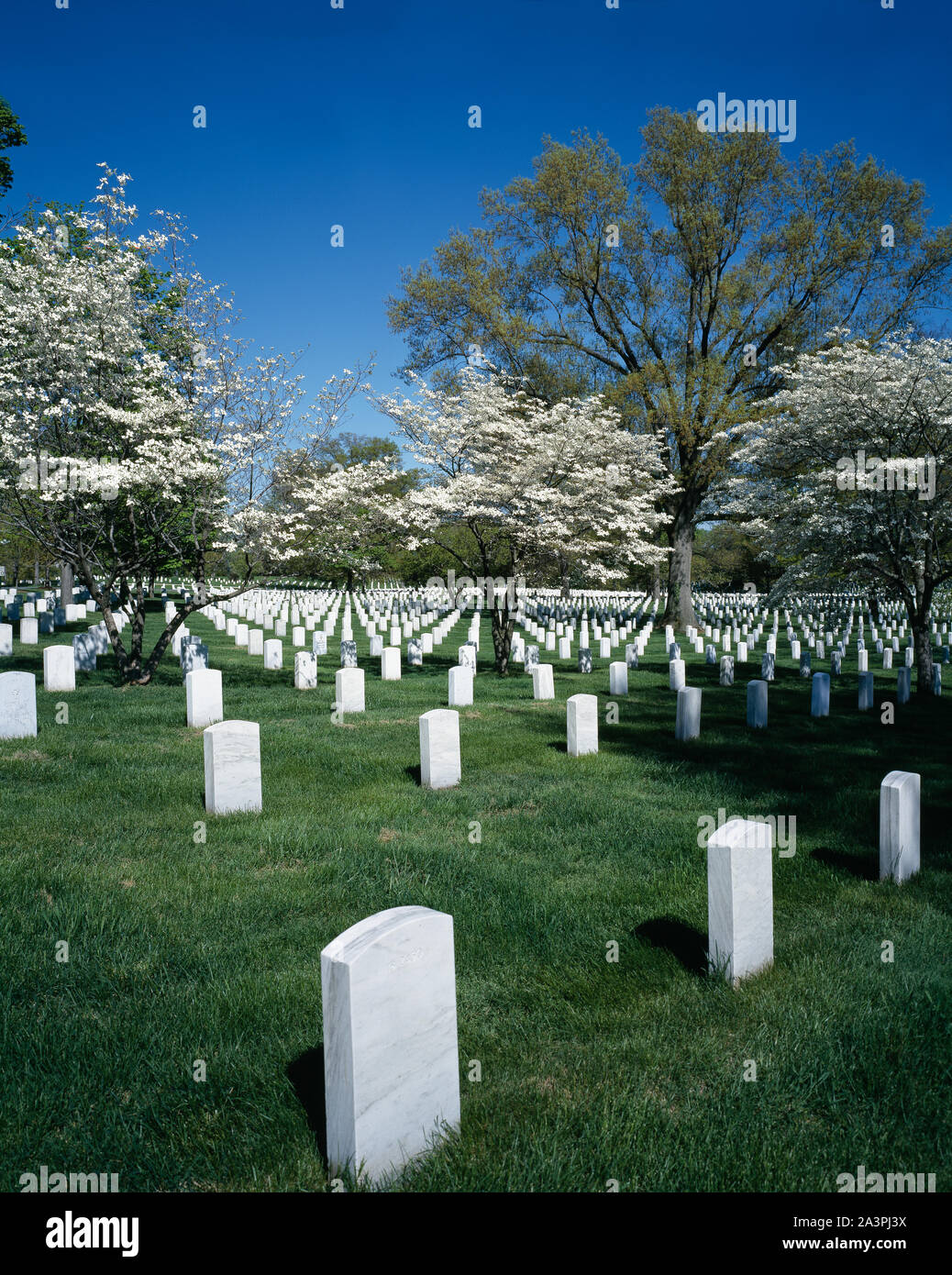Frühling Blick auf dem Arlington National Cemetery, Arlington, Virginia Stockfoto